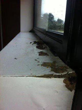 Traitement contre l'humidité des murs/ remontées capillaires sur la Vendée